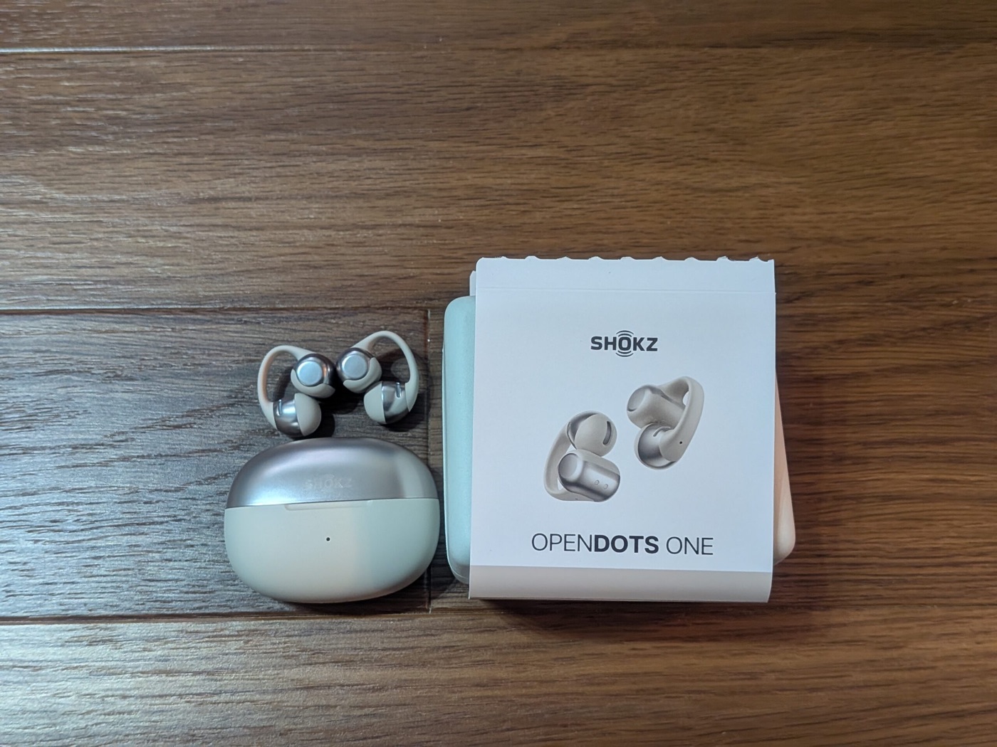 Shokz OpenDots ONE